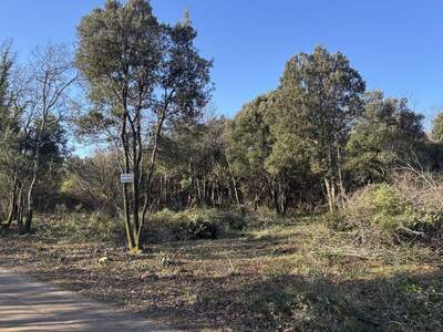 Gewerbeobjekt kaufen in 52208 Kavran (Bild 4)