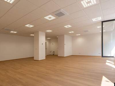 Anlageobjekt kaufen in 4020 Linz (Bild 3)