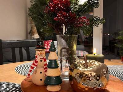 Terrassenwohnung mieten in 1220 Wien (Bild 5)