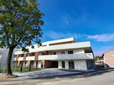 Büro / Praxis kaufen in 7100 Neusiedl (Bild 4)