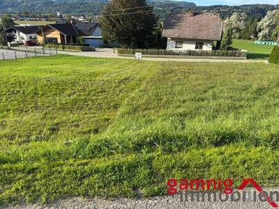 Grundstück kaufen in 9162 Dornach