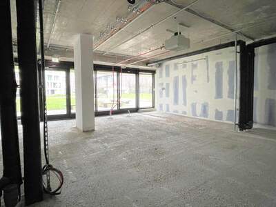 Gewerbeobjekt mieten in 1220 Wien (Bild 5)