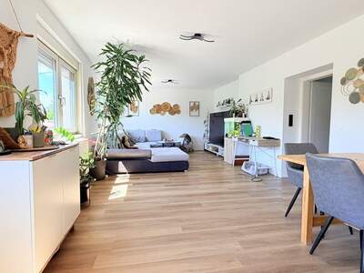 Haus mit Garten kaufen in 2325 Velm (Bild 1)