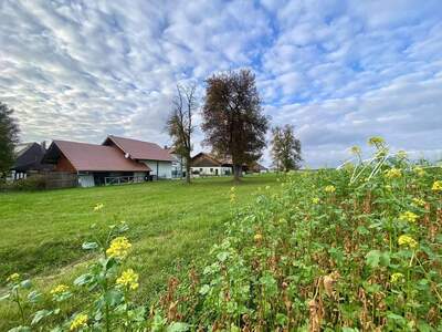 Grundstück kaufen in 4861 Schörfling