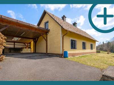 Haus kaufen in 2871 Zöbern