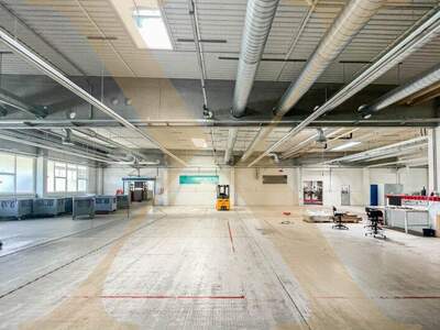 Halle / Lager / Produktion mieten in 4844 Regau