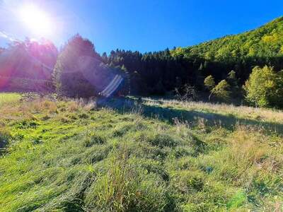 Grundstück kaufen in 4462 Reichraming