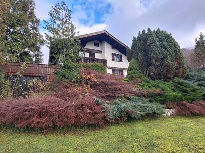 Haus kaufen in 4853 Steinbach