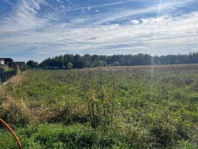 Grundstück kaufen in 8141 Premstätten (Bild 2)