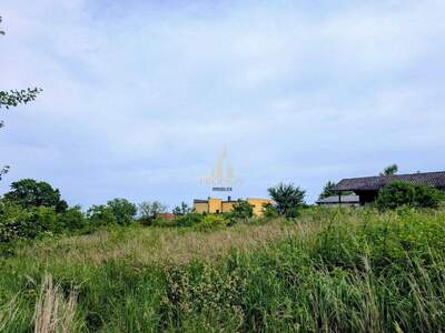 Grundstück kaufen in 4611 Buchkirchen (Bild 3)