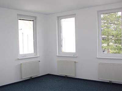 Gewerbeobjekt mieten in 2372 Gießhübl (Bild 5)