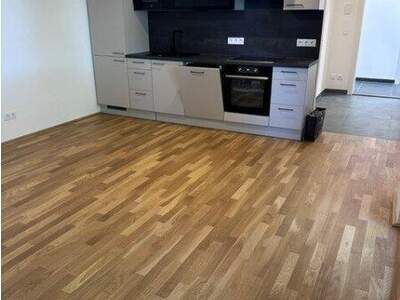 Terrassenwohnung mieten in 1220 Wien (Bild 5)