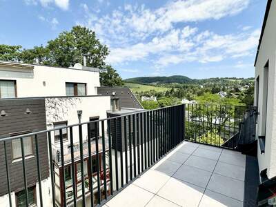 Terrassenwohnung kaufen in 1190 Wien (Bild 4)