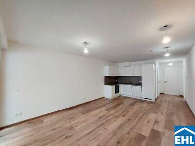 Terrassenwohnung mieten in 1110 Wien (Bild 2)