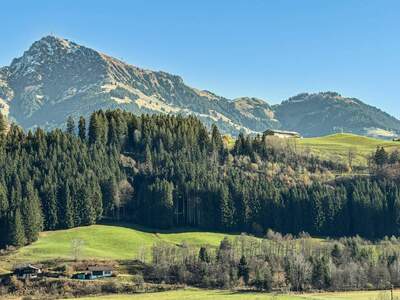 Mietwohnung in 6370 Reith