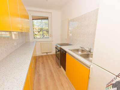 Wohnung mit Balkon mieten in 2401 Fischamend (Bild 4)