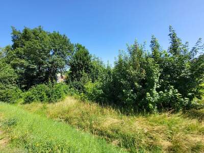 Grundstück kaufen in 4060 Leonding