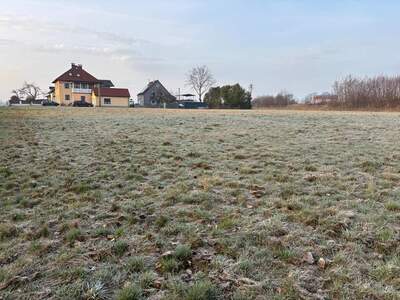 Grundstück kaufen in 4975 Suben