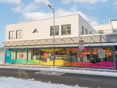 Gewerbeobjekt mieten in 2320 Schwechat