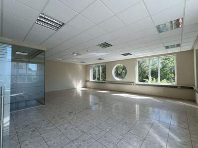 Gewerbeobjekt mieten in 1230 Wien (Bild 2)