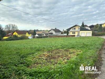 Grundstück kaufen in 4073 Wilhering (Bild 4)