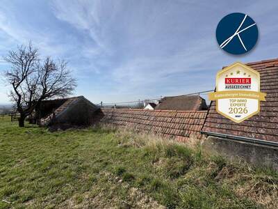 Grundstück kaufen in 3483 Feuersbrunn (Bild 5)