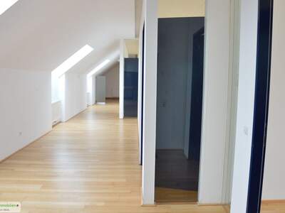 Gewerbeobjekt mieten in 5400 Hallein (Bild 3)