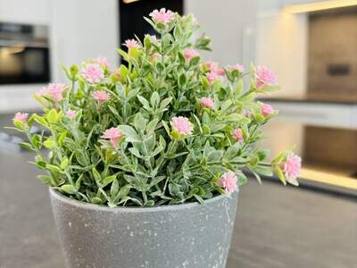 Wohnung mit Balkon kaufen in 8055 Graz (Bild 4)