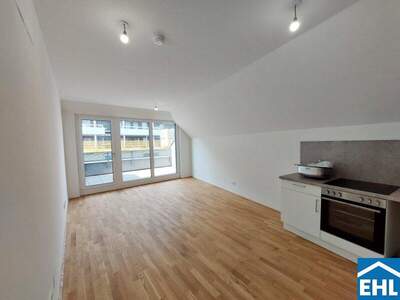 Terrassenwohnung mieten in 1110 Wien (Bild 2)