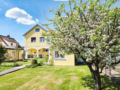 Haus mit Garten kaufen in 3950 Gmünd (Bild 1)