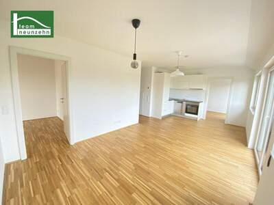 Terrassenwohnung mieten in 1220 Wien (Bild 2)