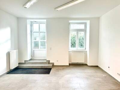 Gewerbeobjekt mieten in 1190 Wien (Bild 2)