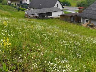 Grundstück kaufen in 8083 St. Stefan
