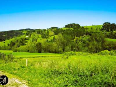 Gewerbeobjekt kaufen in 9462 Bad St. Leonhard (Bild 1)