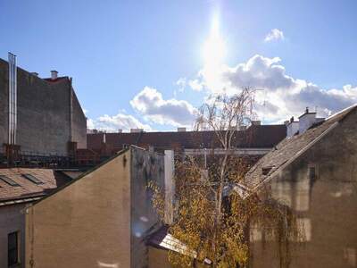 Terrassenwohnung kaufen in 1070 Wien (Bild 3)