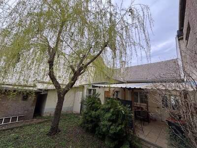 Anlageobjekt kaufen in 7141 Podersdorf