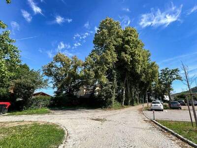 Wohnung kaufen in 4053 Nettingsdorf