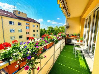 Wohnung kaufen in 1220 Wien