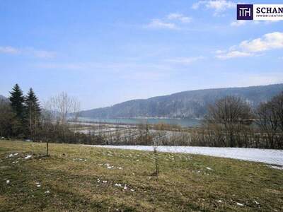 Grundstück kaufen in 3681 Hofamt Priel (Bild 1)