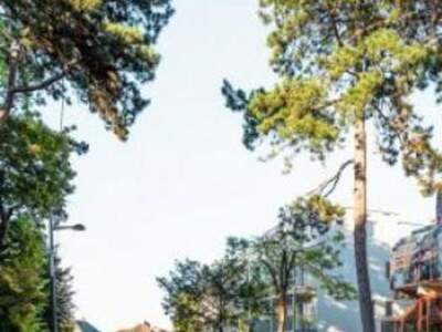 Immobilie mieten in 1190 Wien (Bild 3)