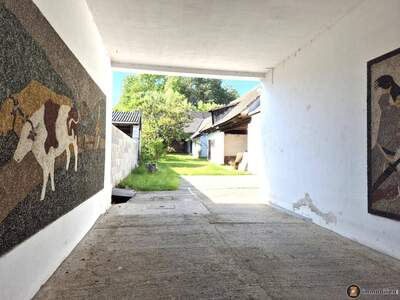 Haus kaufen in 7373 Piringsdorf