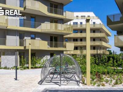 Terrassenwohnung kaufen in 1210 Wien (Bild 1)