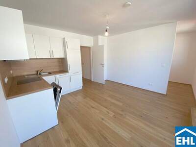 Terrassenwohnung mieten in 1100 Wien (Bild 4)