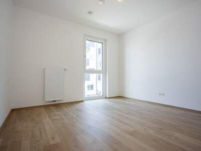 Terrassenwohnung kaufen in 2700 Wr. Neustadt (Bild 3)