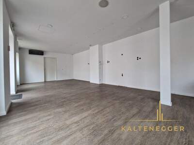 Anlageobjekt kaufen in 2620 Neunkirchen (Bild 2)