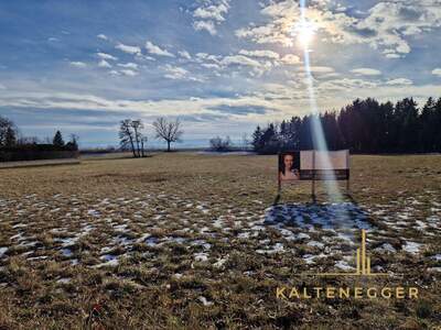 Grundstück kaufen in 2722 Weikersdorf (Bild 1)