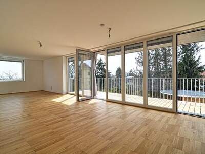 Terrassenwohnung mieten in 1180 Wien (Bild 2)