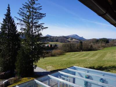 Haus mit Garten kaufen in 5303 Thalgau (Bild 4)