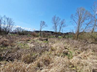 Grundstück kaufen in 4850 Timelkam (Bild 3)