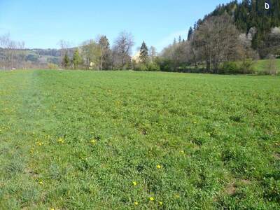 Gewerbeobjekt kaufen in 9560 Feldkirchen